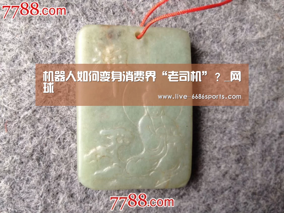 机器人如何变身消费界“老司机”?_网球(图1) 足球
