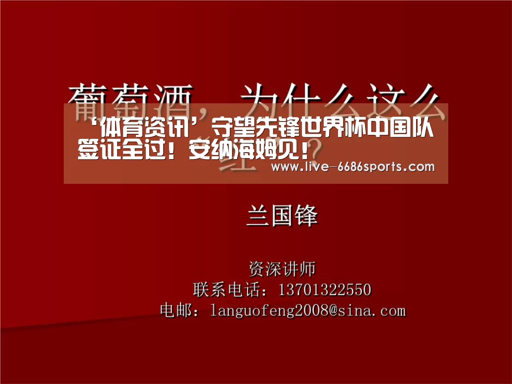 ‘体育资讯’守望先锋世界杯中国队签证全过!安纳海姆见!(图1) 网球
